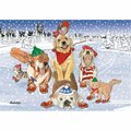 Pipsqueak Productions Mix Dog With Cat Holiday Boxed Cards C521